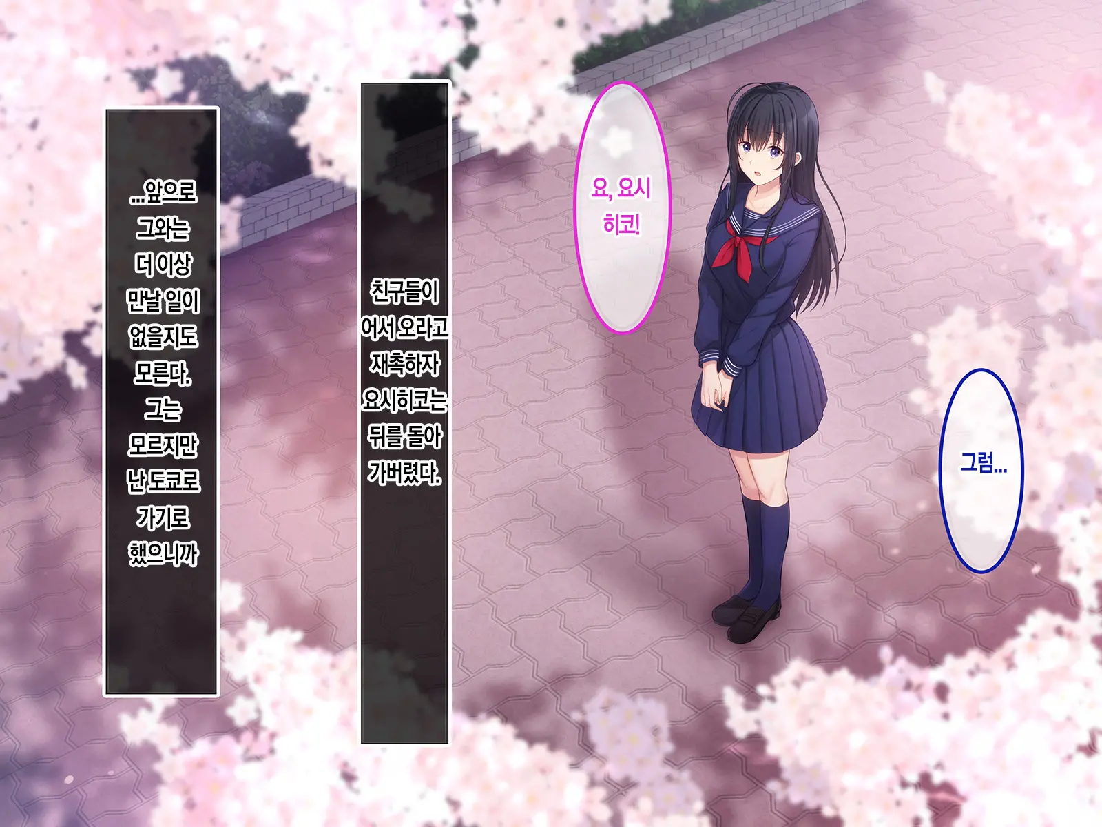 Hatsukoi No Hito ~Honoka~ | 첫사랑 ~호노카~